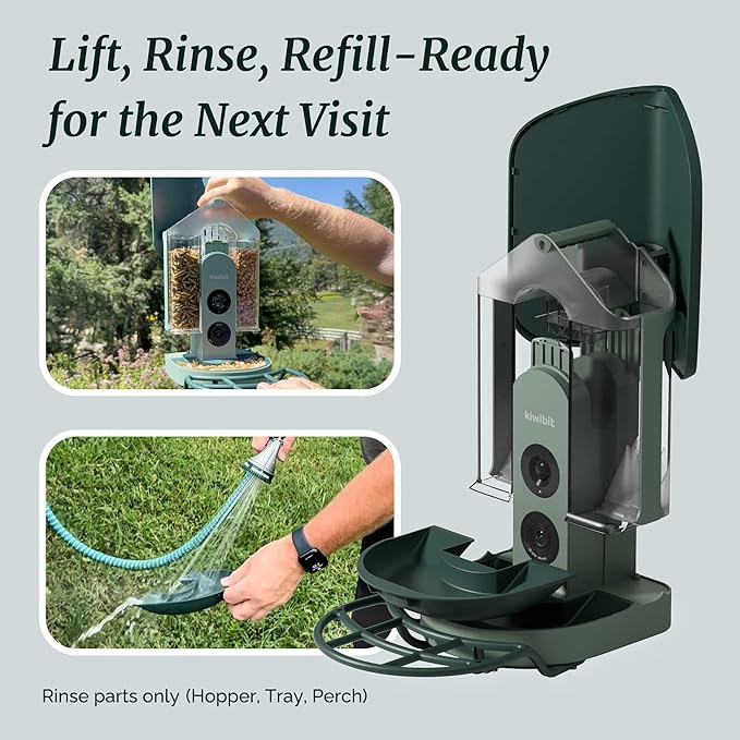 Beako™ Smart Bird Feeder with 4K Camera Solar Powered for Outdoors - UHD Live Stream for Birdwatching, AI Identification 10,000+ Bird Species, Real-Time Motion Detection, Forest Birch