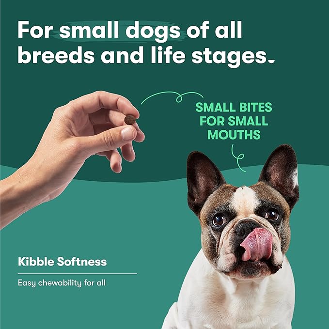 Jinx Premium Grain-Free Dry Dog Food, for All Lifestages - Real Salmon, Sweet Potato & Carrot Puppy Kibble with Superfoods for Immune Support & Probiotics for Digestive Support - No Fillers - 4lb