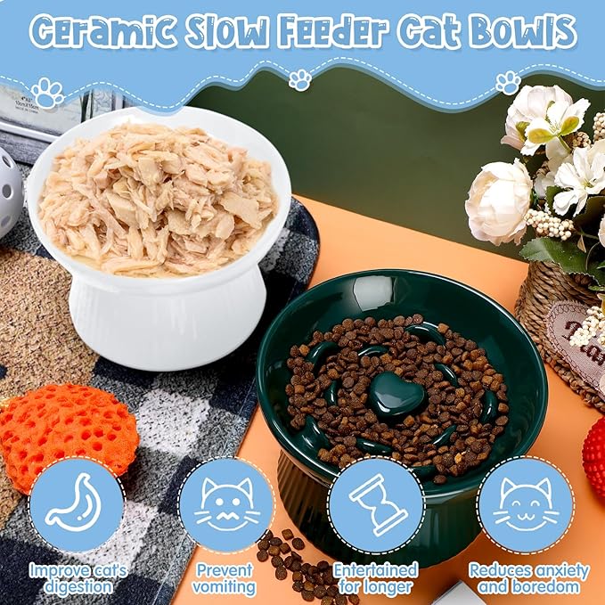 Tioncy 2 Pcs Raised Cat Slow Feeder Bowl Ceramic Elevated Cat Dog Food Bowl No Spill High Edge for Dry Wet Food and Water Easy to Clean, Dishwasher Safe(Dark Green, White)