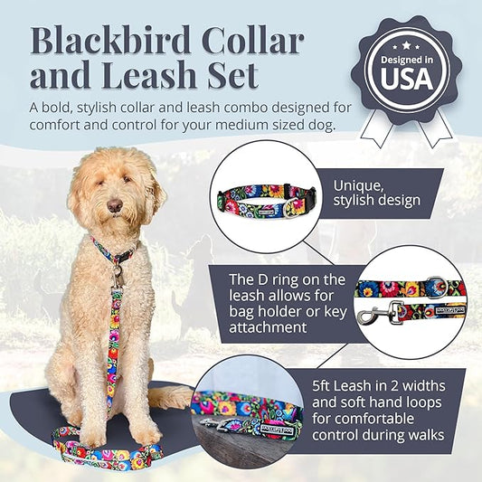 Lucky Love Dog - Easy Click Buckle Dog Collar with Leash Set Combo, Durable & Comfortable for Male & Female Dogs, Pet Collar for Small to Large Dogs, Secure Fit - Blackbird Combo, Medium
