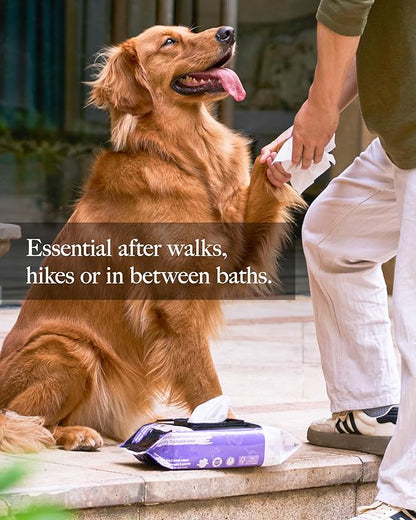 HICC PET Wipes for Dogs and Cats, Vet-Recommended Pets Cleaning Wipes, Deodorizing Hydrating, Nourishes Smoothes Fur, Fermented Coconut Oil Grooming Horse Skin, Coat & Hoof, Unscented, 100 Count