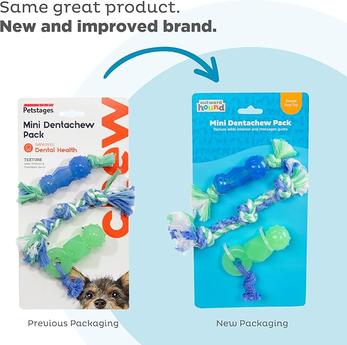 Outward Hound Mini Dentachew Dental Dog Chew Toy - 3 Pack - Great Size for Small Dogs and Puppies