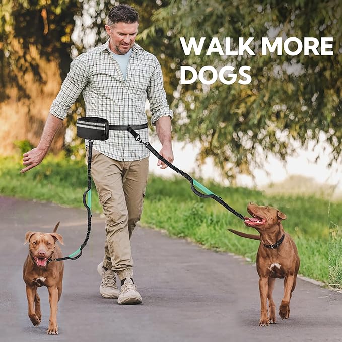 Hands Free Dog Leash with Pouch, Double Leash for Two Dogs, Retractable Bungee with Double Padded Handles, Waist for Dog Walking, Running for Dogs, Dog Walking Accessories