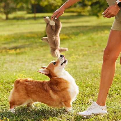 No-Stuffing Bunny Squeaky Dog Toy, Cute Plush Puppy Teething Toy to Keep Them Busy, Rabbit Interactive Tug of War & Dental Chew for Small Medium Large Dogs