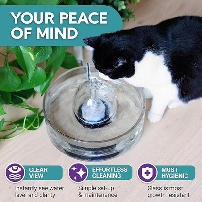 Brook Glass Pet Fountain (90oz/2.7L) – Cat Water Fountain & Small Dog Drinking Fountain – Automatic Water Dispenser Cat Fountain