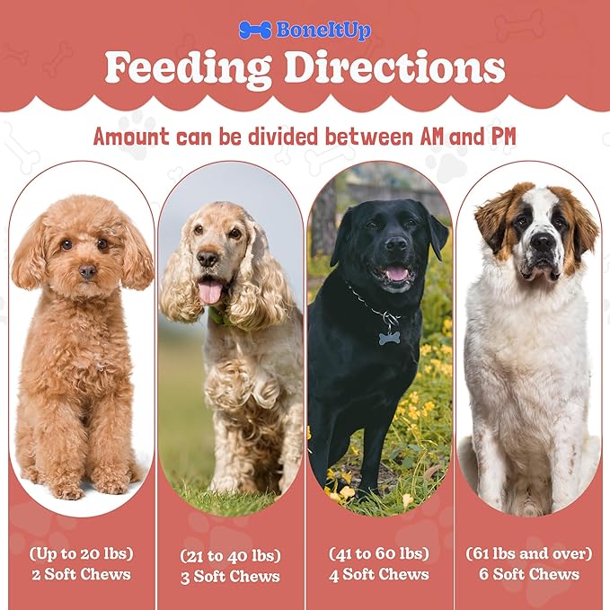 BoneItUp Soft Dog Allergy Chews for Itching, Sneezing, Paw Licking, Seasonal Allergies - Essential Omega-3, Turmeric & Quercetin for Dogs Allergies - Daily Immune & Digestive Dog Allergy Treats (90ct)