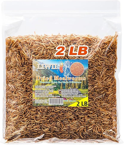 LIWII Dried Mealworms 2 LBS-100% Natural Non GMO High Protein Treat for Chicken & Wild Birds, Plus Small Pets