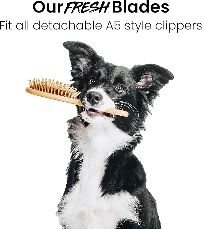 Fresh 40 Dog Grooming Blade, 1/100" (0.25 mm) Cut, Fits Andis, Oster, Wahl A5 Detachable Clippers, High-Carbon Steel with Chrome Coating, Ultra-Close Blade for Surgical Preps or Detail Work
