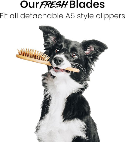 Fresh 40 Dog Grooming Blade, 1/100" (0.25 mm) Cut, Fits Andis, Oster, Wahl A5 Detachable Clippers, High-Carbon Steel with Chrome Coating, Ultra-Close Blade for Surgical Preps or Detail Work