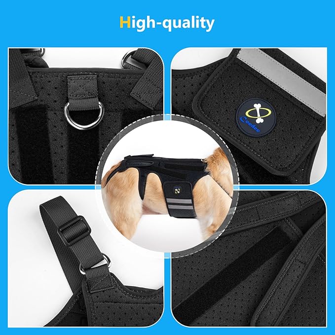 Coodeo Dog Back Brace for Dogs Arthritis, Pet Back Bracer for IVDD, Back Protector Helps Pain Relief, Surgical Recovery and Rehabilitation, Dogs Back Disease Prevention. (Black,X-Large)