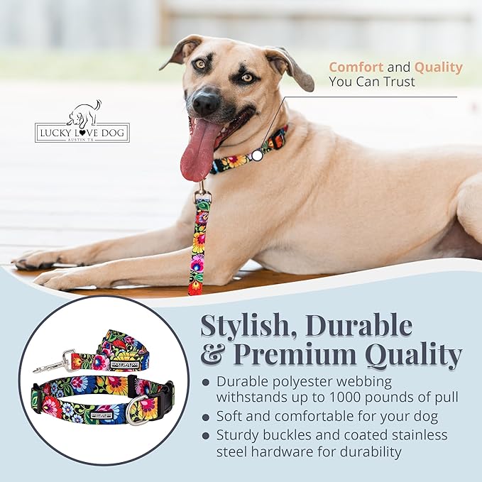 Lucky Love Dog - Easy Click Buckle Dog Collar with Leash Set Combo, Durable & Comfortable for Male & Female Dogs, Pet Collar for Small to Large Dogs, Secure Fit - Blackbird Combo, Small