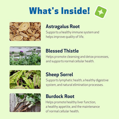 Pet Wellbeing Life Gold for Dogs - Supports Detoxification, Immune System Health, Antioxidants - Vet-Formulated Herbal Supplement – 4 oz (118 ml)