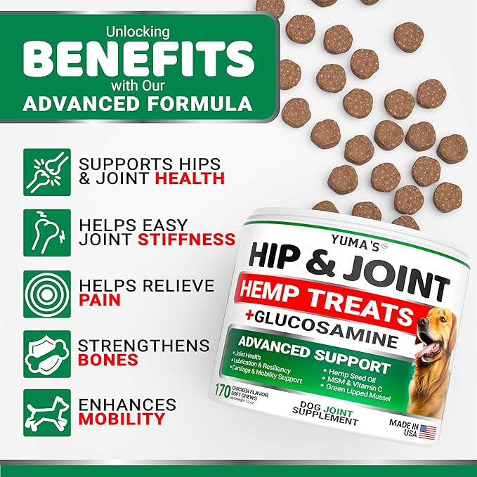 YUMA'S Hemp Hip and Joint Supplement for Dogs - Glucosamine for Dogs - 170 Joint Pain Relief Chews - Chondroitin, MSM - Hemp Oil - Advanced Canine Health Supplement - Mobility Support Treats