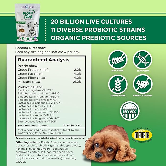 Vital Planet - Flora Dog Probiotics, Dog Chews Supplement with 20 Billion Cultures and 11 Strains, Immune and Digestive Support Chewable Probiotics for Dogs, 30 Natural Bacon Flavored Soft Chews