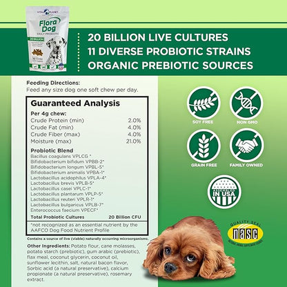 Vital Planet - Flora Dog Probiotics, Dog Chews Supplement with 20 Billion Cultures and 11 Strains, Immune and Digestive Support Chewable Probiotics for Dogs, 30 Natural Bacon Flavored Soft Chews