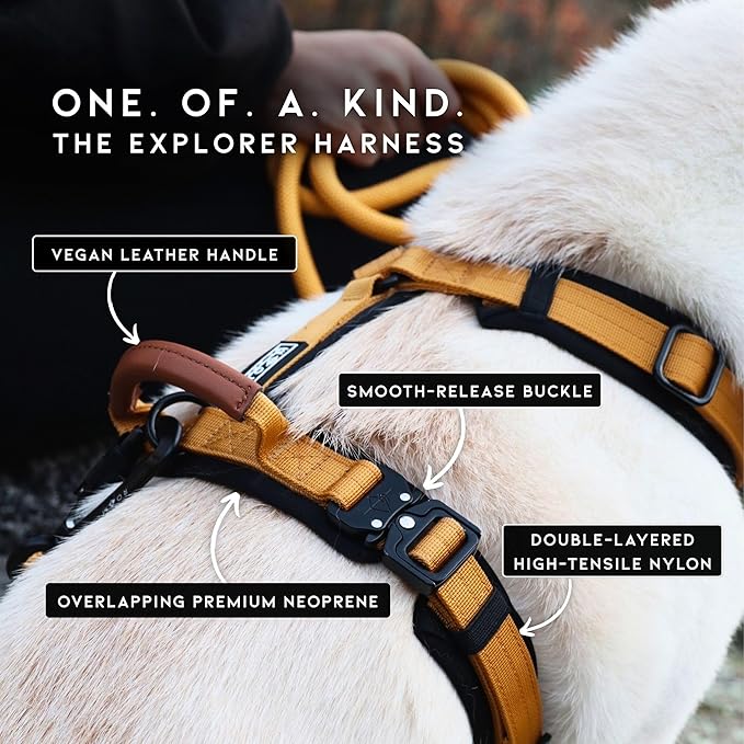 MADE TO ROAM Premium Explorer Harness - Y-Shaped Dog Harness with Adjustable Durable Nylon, Soft Padding, Metal Buckles and Leather Handle for Small, Medium, Large Dogs (Maine Marina, Size 5)