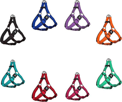 Kruz No Pull Dog Harness (Chest 21”-30”, Weight 22-53 lbs) Heavy-Duty Pet Harness for Medium Breeds, Ultra-Comfort Fit, Lifetime Durability, Adjustable Dog Harness No Pull Design (Blue, Medium)