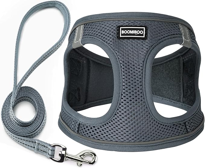 Dog Harness with Leash Set, No Pull Adjustable Reflective Step-in Puppy Pet Vest Harnesses for Small Medium Large Dogs and Cats,Grey XS