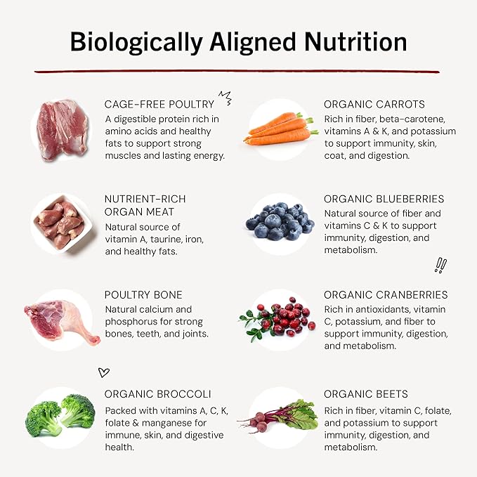 Stella & Chewy's Freeze-Dried Raw Duck Duck Goose Meal Mixers - Dog Food Topper and Mixer - Made with 95% Cage-Free Poultry, Organs & Bone - Perfect for Picky Eaters - Grain-Free - 3.5 oz