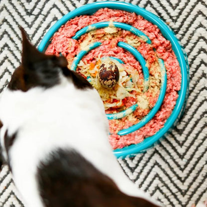 Messy Mutts Interactive Slow Feeder | Puzzle Slow Feeder Dog or Cat Bowl | Enrichment Food Dish for Eating, Prevent Bloating | 9.8” x 2.2” | 3 Cup | Blue