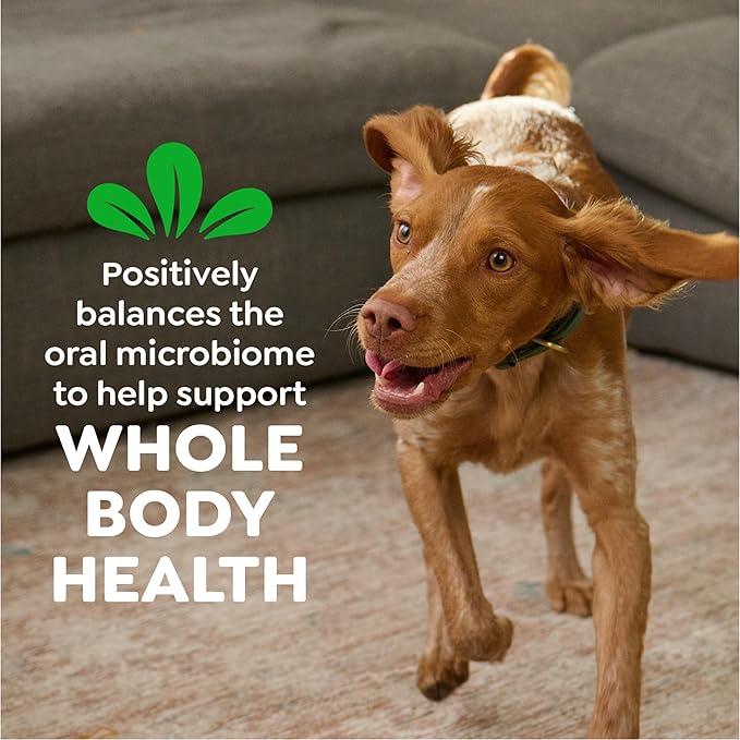 Greenies Veterinarian-Recommended Adult Natural Dental Dog Treats Regular Size, Original Flavor, (4) 18 ct Packs (72 Treats Total)
