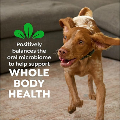 Greenies Veterinarian-Recommended Adult Natural Dental Dog Treats Regular Size, Original Flavor, (4) 18 ct Packs (72 Treats Total)
