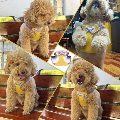 Small Dog Harness with Leash and Bow Tie, Cute Breathable Puppy Harness Easy for Walking, No Pull No Choke Escape Proof Pet Harness, Yellow & Purple XS
