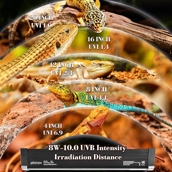 NEPTONION T5 Reptile UVB Light 12.5 Inches Fixture with UVB 10.0 Bulb High Output Hood for Terrariums, Basking Reptiles, Lizards, Chameleons, Iguanas, Bearded Dragons, 8W