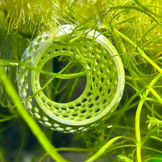 CTWPets Betta Bulb Hide | Betta Rest Fish Tank Ornament | Aquarium Cave with Suction Cup for Small Fish Tank, Betta Habitat, Shrimp Hideout, Aquatic Decor (Lavender Bliss)