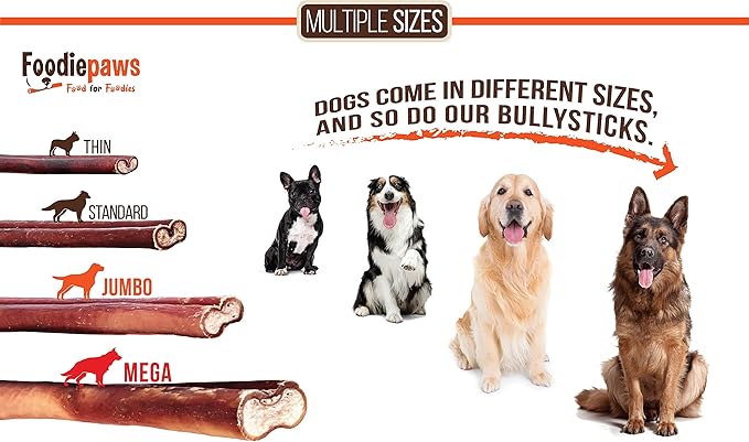 FOODIEPAWS 4 Inch Bully Sticks for Dogs, 1 lb Bulk Pack | All Natural Grass-Fed Beef Pizzle | Rawhide-Free, Odor-Free & Fully Digestible Chews | Dental Treats for Puppies & Small Dogs