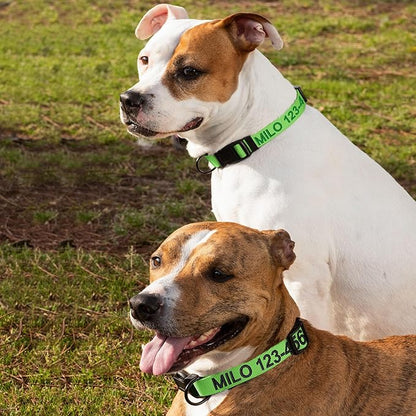 Pawtitas Personalized Large Dog Collar Embroidered with Name & Phone Number - Adjustable, Customized for Large Dogs & Puppies - Green