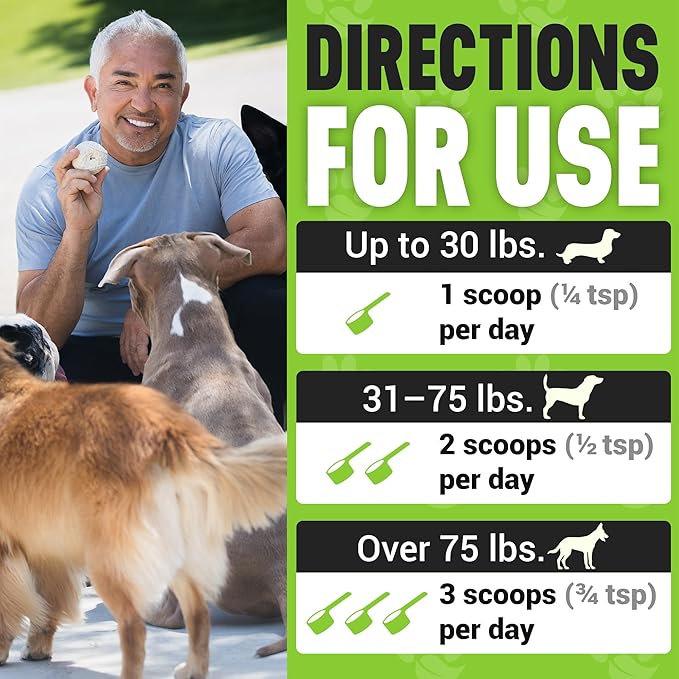 Cesar Millan Better Dog Allergy Supplements Powder - Allergy Balance Supports Seasonal Allergies & Occasional Dog Allergy Relief with Natural Ingredients - 4 oz, 60-Day Average Supply