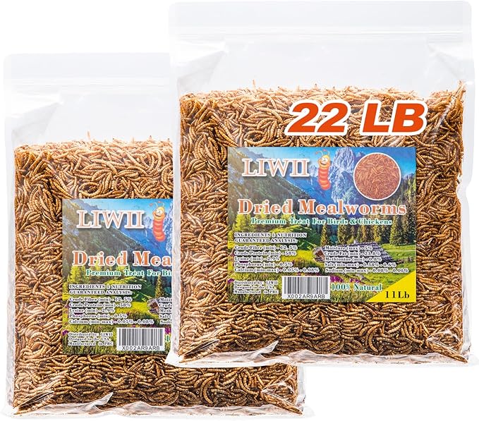 LIWII Dried Mealworms - 22 LBS- 100% Natural Non GMO High Protein - Bulk Mealworms for Wild Birds, Chicken Treats, Hamster, Gecko, Turtle, Lizard Food