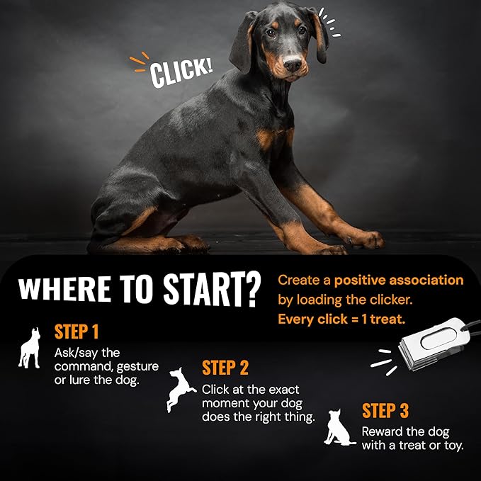 3-Pack Dog Clicker (White, Gold, Black) - Clickers for Pet Training – Easy-to-Carry Dog Training & Behavior Aids - Teach Your Dog Tricks or Reward His Behavior