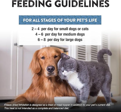 Northwest Naturals Raw Rewards Freeze-Dried Whitefish Treats for Dogs and Cats - Bite-Sized Pieces - Healthy, 1 Ingredient, Human Grade Pet Food, All Natural, Proudly Made in USA, 10 Oz (Pack of 3)