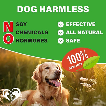 Dog Hip and Joint Supplement & Arthritis Pain Relief Treats - Glucosamine Chondroitin MSM Soft Chews for Senior Dogs - Natural Medicine & Support Mobility - Turmeric Vitamins for Dysplasia - USA