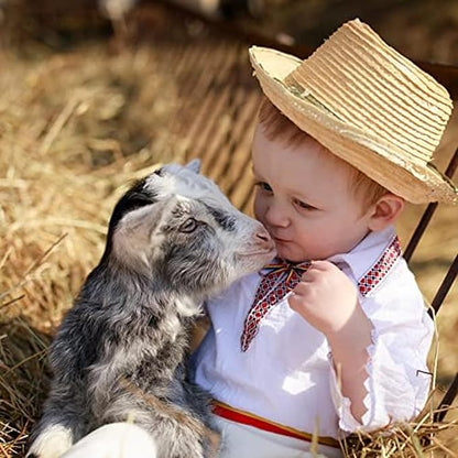 Blue Mountain Hay | Fresh Organic Oat Hay (48 Ounce) | Good for Sensitive Digestion | High-Altitude Hay Pet Food for Rabbits, Guinea Pigs, Chinchillas, Hamsters, and Other Small Pets