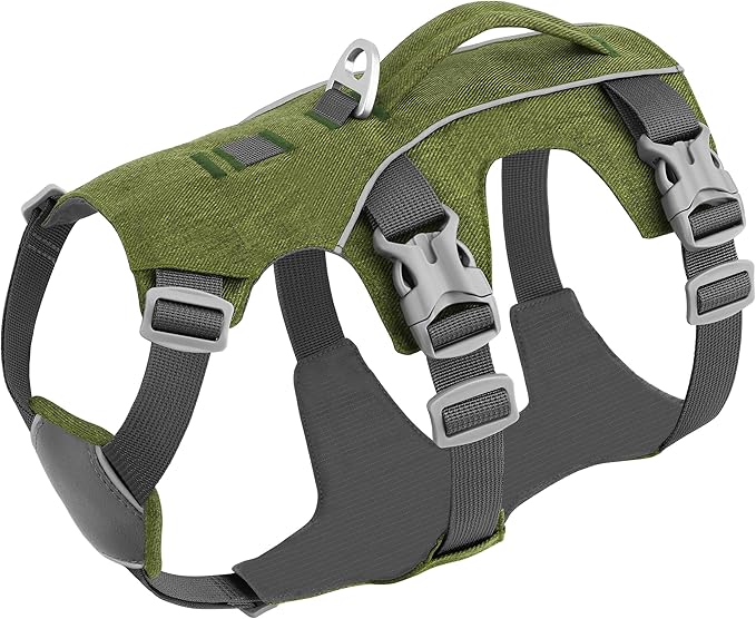 Escape Proof Dog Harness Small Sized Dog, Reflective No Pull Dog Vest with Handle, Lightweight Full Body Pet Harness Adjustable for Walking,Training(Green,Chest:16-27")