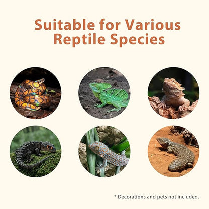 20 Gallon PVC Reptile Enclosure, RepWild 24"x18"x12" Terrarium/Tank with Heavy-Duty Screen Top, Glass Sliding Doors & Lock for Bearded Dragons, Ball Python, Geckos, Lizards