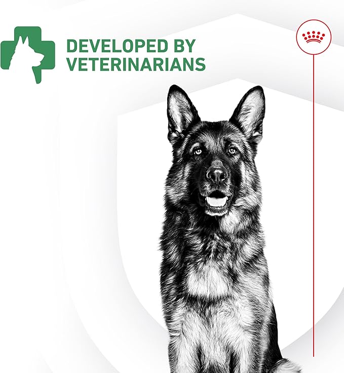 Royal Canin Probiotics for Dogs Digestive and Immune Health Powder Supplement for Dogs of All Ages, 30 Count (Pack of 2)