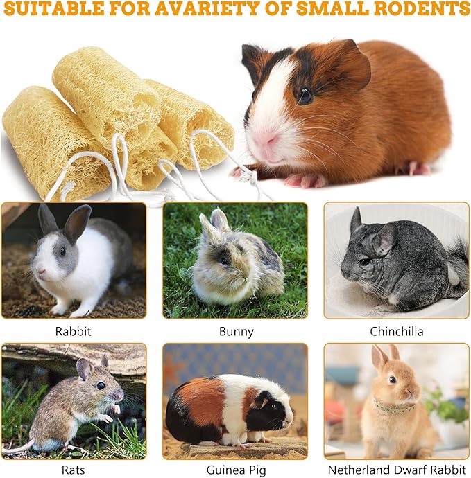 Apatal 12 Pcs Rabbit Chew Toys Natural Bunny Loofah Chew Toy Chinchilla Teeth Grinding Toys Guinea Pig Fibre-Rich Treats Enrichment Bunny Accessories for Rabbits Hamster (S)