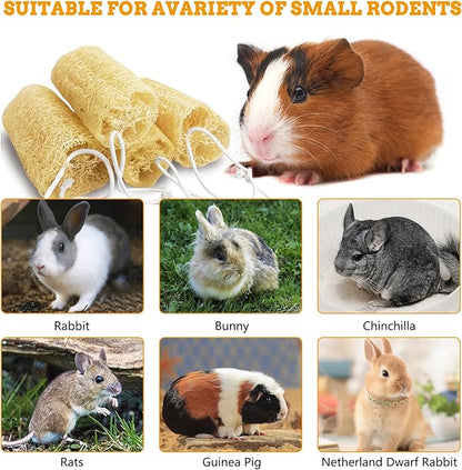 Apatal 12 Pcs Rabbit Chew Toys Natural Bunny Loofah Chew Toy Chinchilla Teeth Grinding Toys Guinea Pig Fibre-Rich Treats Enrichment Bunny Accessories for Rabbits Hamster (S)