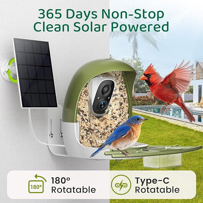 HIXX Smart Bird Feeder with Camera, AI Identify Birds & Auto Capture, 2K HD Live Camera Birdwatching with Color Night Vision for Bird Lovers Gifts (Forest Green)