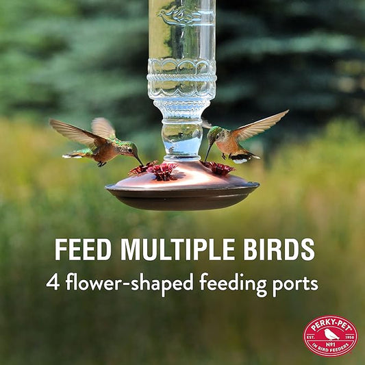 Perky-Pet Antique Glass Bottle Hummingbird Feeder - Outdoor Garden Décor Hummingbird Feeder - 8107-1SR - 10 Fl Oz Nectar Capacity - Durable Humming bird Feeder for Backyards, Porches, Decks, Hooks