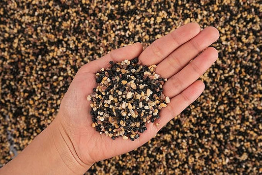 LANDEN Pangea Aquascape Sand for Aquarium 2L (7lbs), Natural Cosmetic Gravel for Plants, Pea Gravel, Pebbles, Fish Tank Decorative Sand, Biotope Aquarium, 1-3mm
