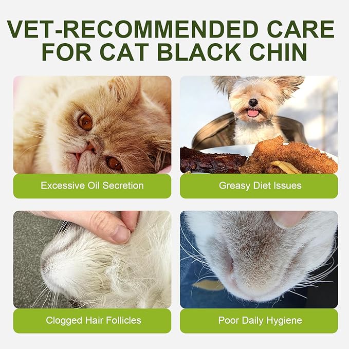 Cat Black Chin Cleaner-Reduce Blackheads and Dirt-No-Rinse Mousse with Built-in Silicone Brush - Witch Hazel and Sophora Extract-pH Balanced Gentle 2-in-1 Grooming 5.1 fl oz