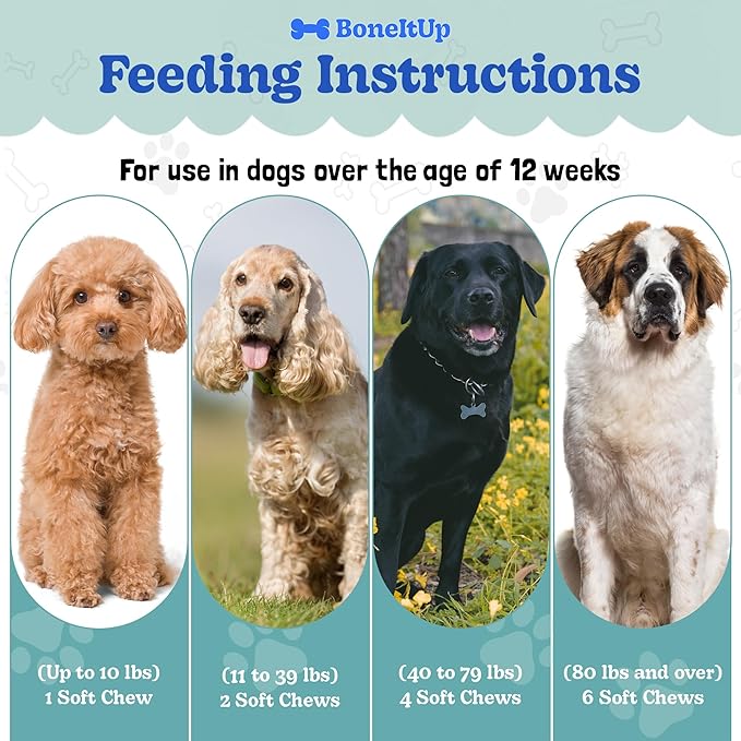 BoneItUp Soft Dog Joint Support Supplement Chews for Aging, Large & Overweight Pets - Glucosamine, Chondroitin, MSM & Omega - Advanced Hip & Joint Supplement for Dogs - Pet Bone Support Treats (90 Ct)