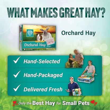 Small Pet Select Orchard Grass Hay Pet Food, 20 Lb.