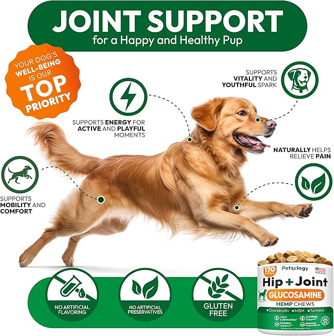 Hemp Hip and Joint Supplement for Dogs - Glucosamine for Dogs - 170 Mobility Support Chews - Advanced Joint Pain Relief Treats with Chondroitin, MSM, Turmeric - Large & Small Breeds - Made in USA
