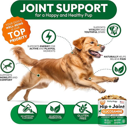 Hemp Hip and Joint Supplement for Dogs - Glucosamine for Dogs - 170 Mobility Support Chews - Advanced Joint Pain Relief Treats with Chondroitin, MSM, Turmeric - Large & Small Breeds - Made in USA
